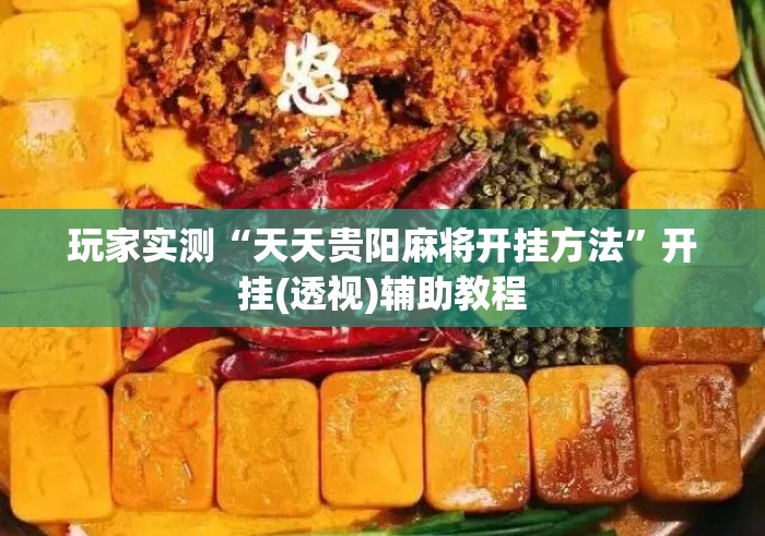 玩家实测“天天贵阳麻将开挂方法	”开挂(透视)辅助教程