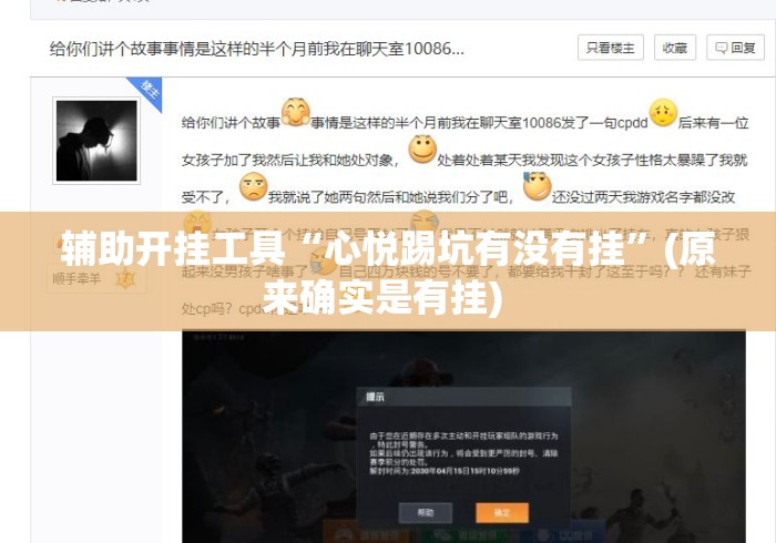 辅助开挂工具“心悦踢坑有没有挂”(原来确实是有挂) 