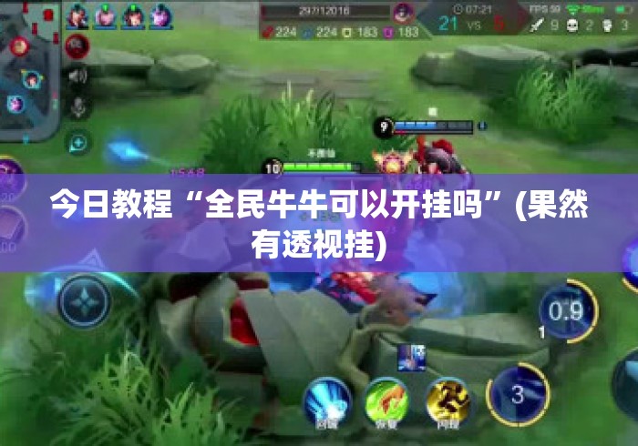 今日教程“全民牛牛可以开挂吗”(果然有透视挂)