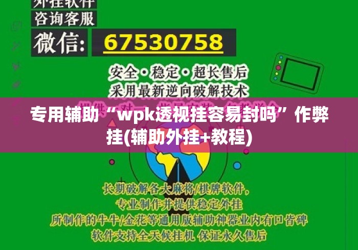 专用辅助“wpk透视挂容易封吗”作弊挂(辅助外挂+教程)
