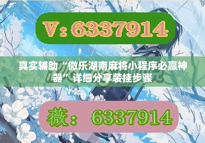 真实辅助“微乐湖南麻将小程序必赢神器	”详细分享装挂步骤