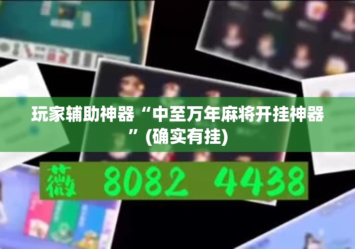 玩家辅助神器“中至万年麻将开挂神器”(确实有挂)