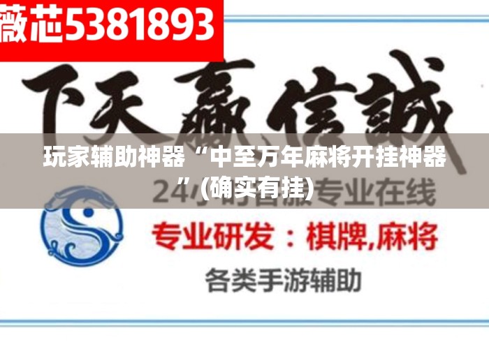 玩家辅助神器“中至万年麻将开挂神器”(确实有挂)