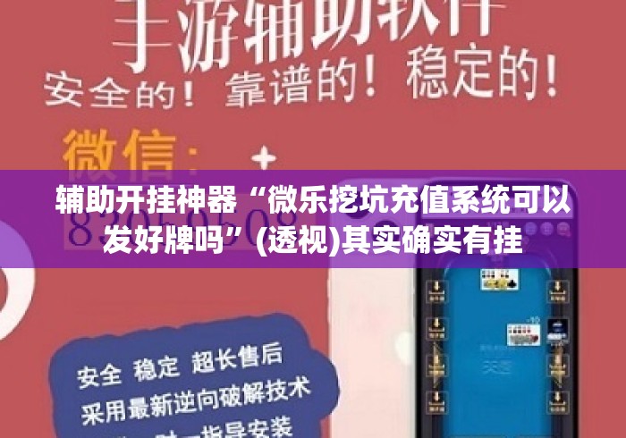 辅助开挂神器“微乐挖坑充值系统可以发好牌吗	”(透视)其实确实有挂
