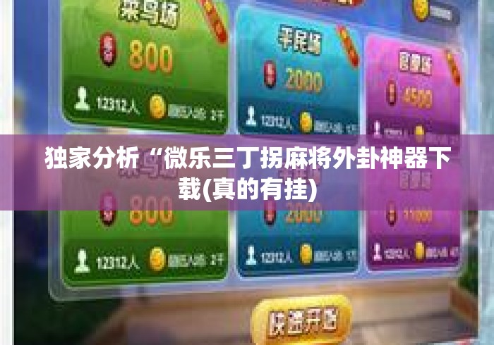 独家分析“微乐三丁拐麻将外卦神器下载(真的有挂)