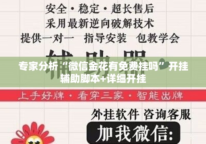 专家分析“微信金花有免费挂吗”开挂辅助脚本+详细开挂