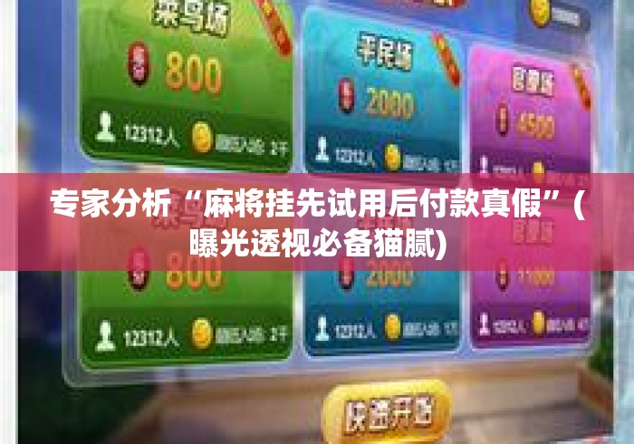 专家分析“麻将挂先试用后付款真假	”(曝光透视必备猫腻)