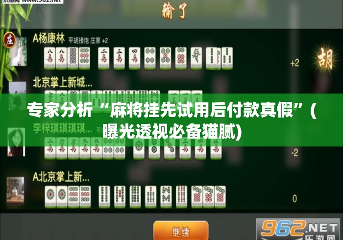 专家分析“麻将挂先试用后付款真假”(曝光透视必备猫腻)