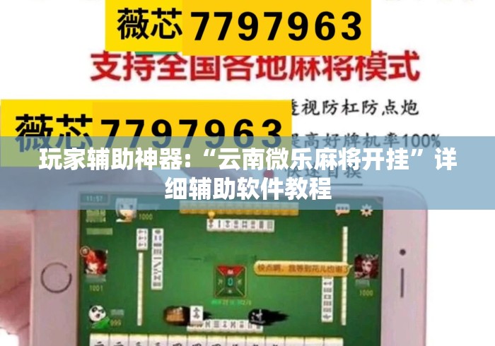 玩家辅助神器:“云南微乐麻将开挂”详细辅助软件教程