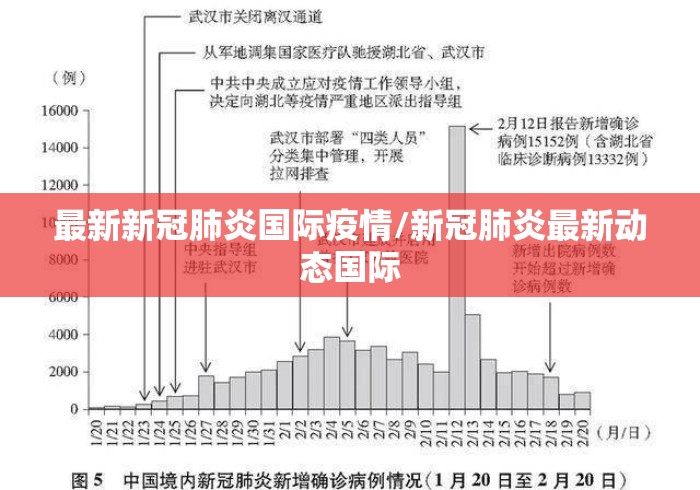必看教程“金华十三道到底有没有挂”(曝光透视必备猫腻)