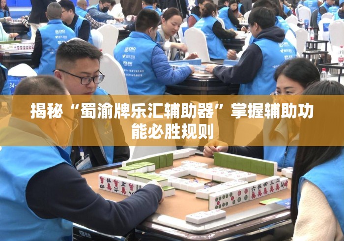 揭秘“蜀渝牌乐汇辅助器”掌握辅助功能必胜规则