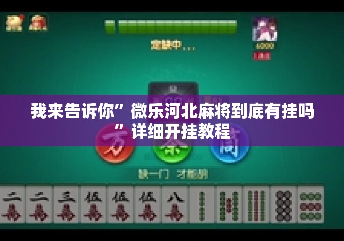 我来告诉你”微乐河北麻将到底有挂吗”详细开挂教程