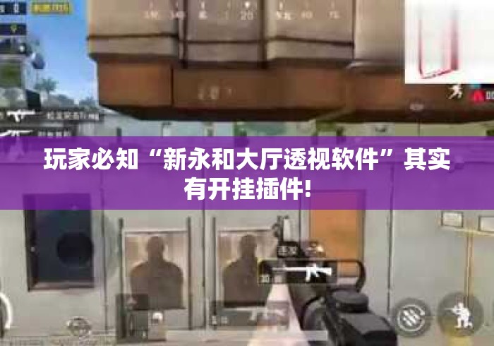 玩家必知“新永和大厅透视软件”其实有开挂插件!