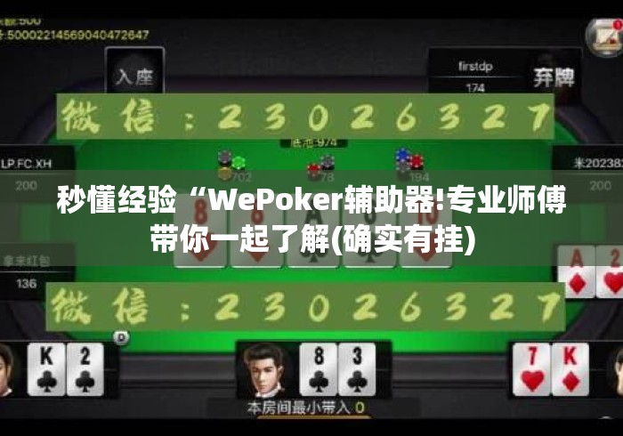 秒懂经验“WePoker辅助器!专业师傅带你一起了解(确实有挂) 秒懂经验“WePoker辅助器!专业师傅带你一起了解(确实有挂)