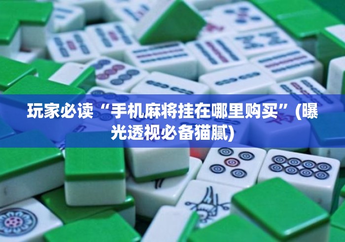 玩家必读“手机麻将挂在哪里购买”(曝光透视必备猫腻)