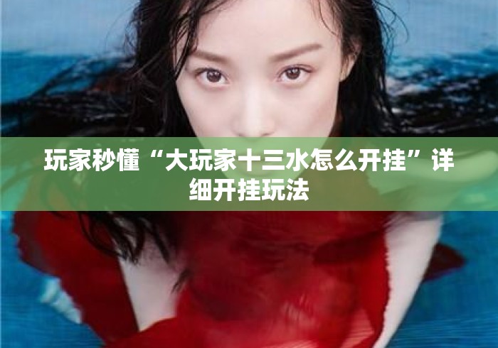 玩家秒懂“大玩家十三水怎么开挂”详细开挂玩法