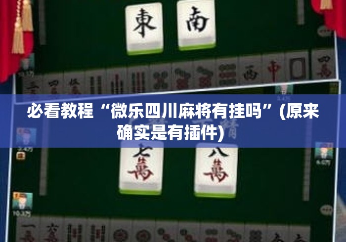 必看教程“微乐四川麻将有挂吗”(原来确实是有插件) 