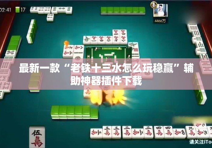 最新一款“老铁十三水怎么玩稳赢”辅助神器插件下载