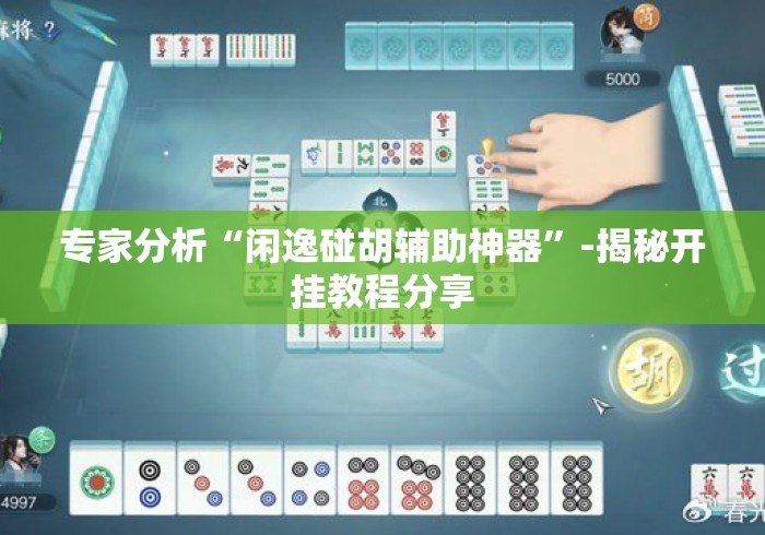 专家分析“闲逸碰胡辅助神器”-揭秘开挂教程分享