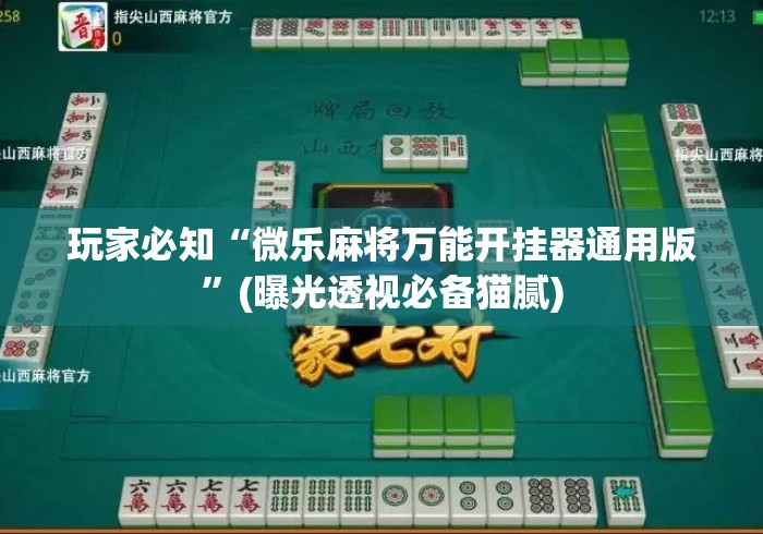 玩家必知“微乐麻将万能开挂器通用版”(曝光透视必备猫腻)