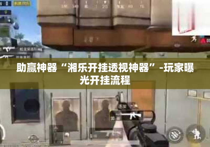 助赢神器“湘乐开挂透视神器”-玩家曝光开挂流程