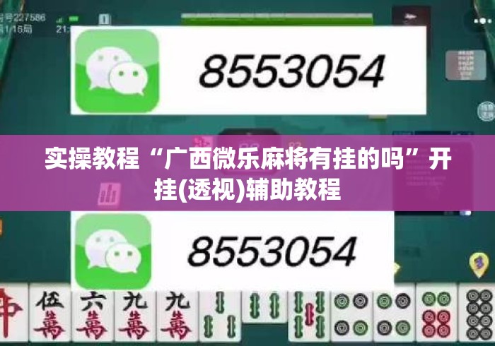 实操教程“广西微乐麻将有挂的吗	”开挂(透视)辅助教程
