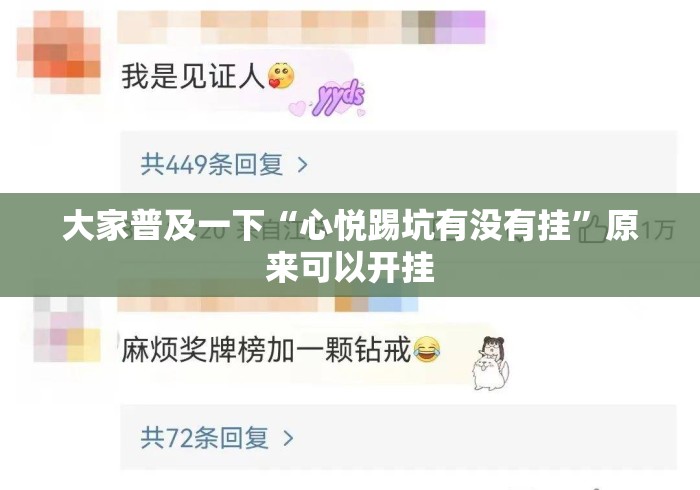 大家普及一下“心悦踢坑有没有挂	”原来可以开挂