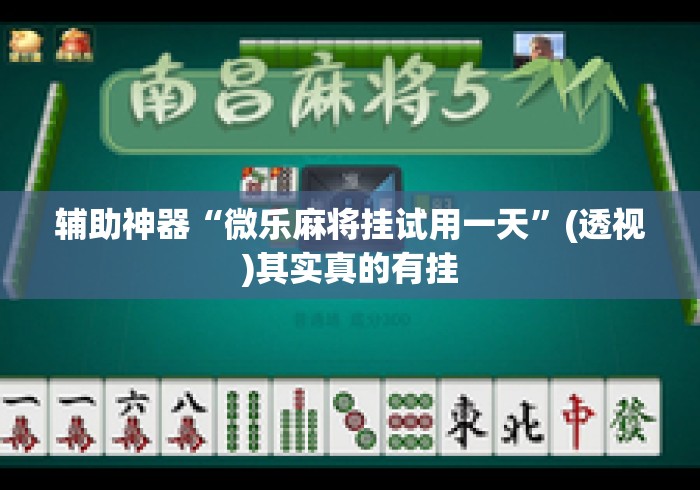 辅助神器“微乐麻将挂试用一天”(透视)其实真的有挂