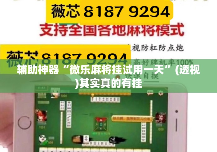 辅助神器“微乐麻将挂试用一天	”(透视)其实真的有挂
