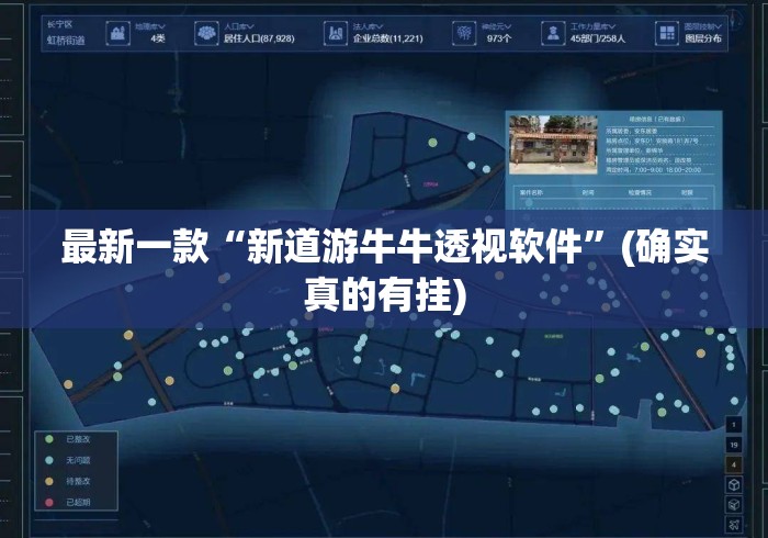 最新一款“新道游牛牛透视软件”(确实真的有挂)