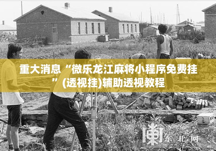 重大消息“微乐龙江麻将小程序免费挂”(透视挂)辅助透视教程