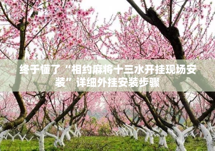 终于懂了“相约麻将十三水开挂现场安装”详细外挂安装步骤