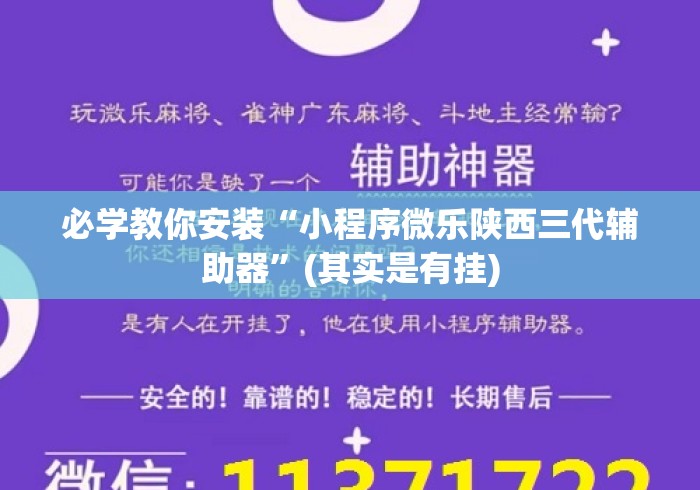 必学教你安装“小程序微乐陕西三代辅助器”(其实是有挂)