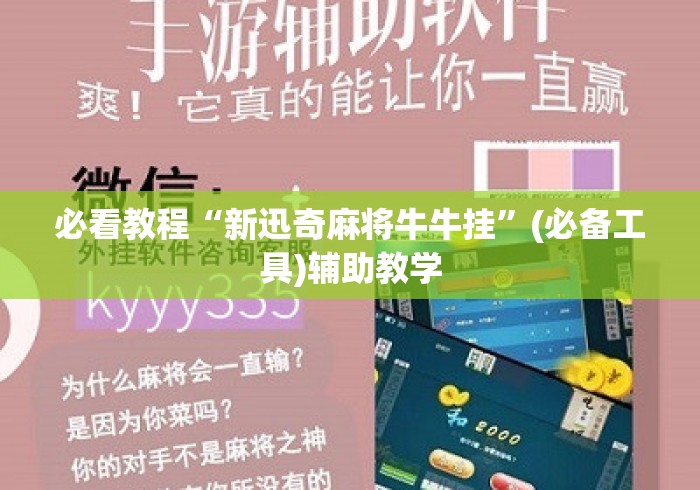 必看教程“新迅奇麻将牛牛挂”(必备工具)辅助教学
