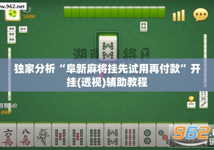 独家分析“阜新麻将挂先试用再付款”开挂(透视)辅助教程