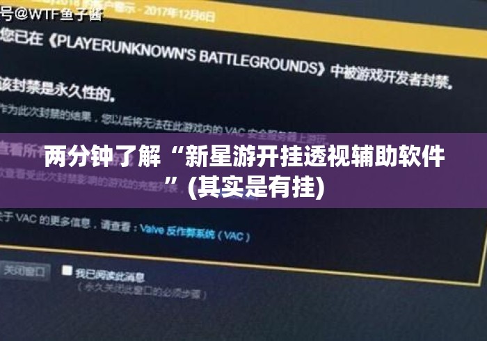 两分钟了解“新星游开挂透视辅助软件”(其实是有挂)