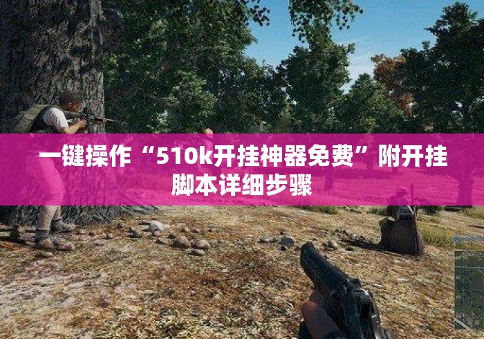 一键操作“510k开挂神器免费”附开挂脚本详细步骤