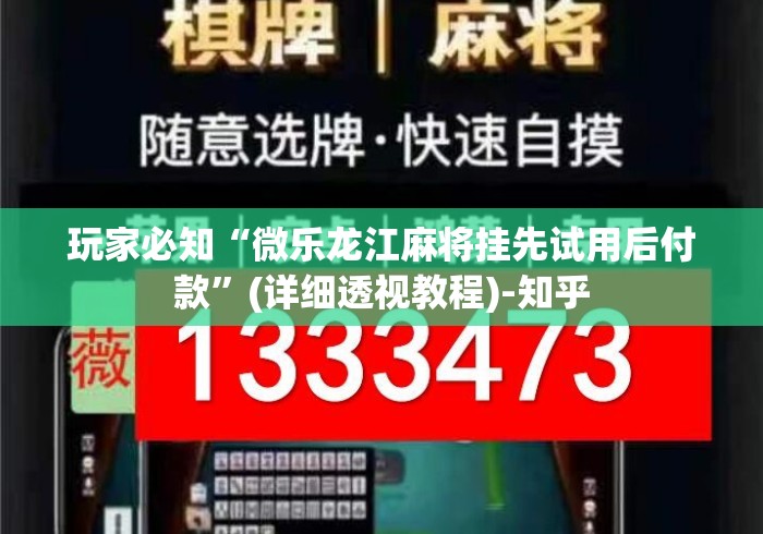 玩家必知“微乐龙江麻将挂先试用后付款”(详细透视教程)-知乎