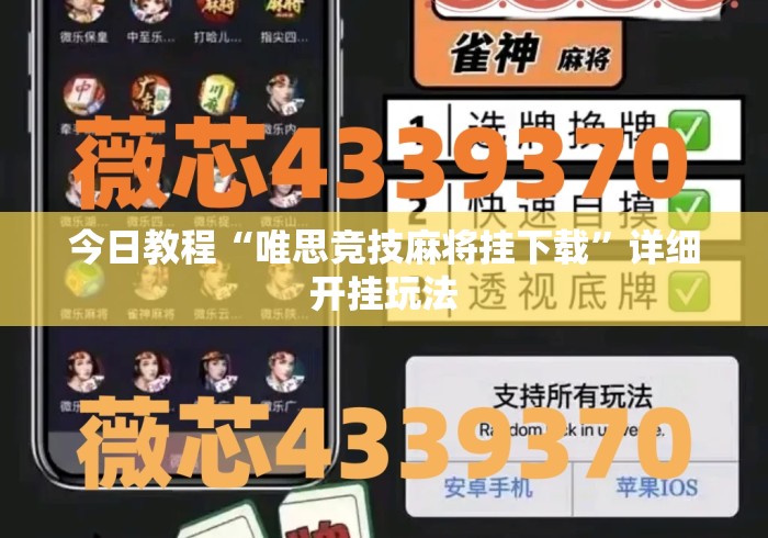 今日教程“唯思竞技麻将挂下载”详细开挂玩法