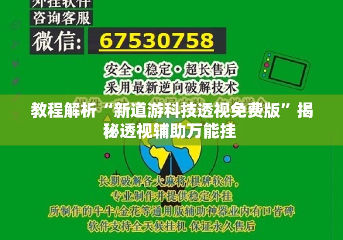 教程解析“新道游科技透视免费版	”揭秘透视辅助万能挂 