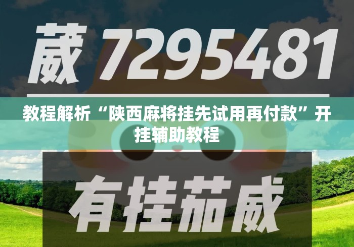 教程解析“陕西麻将挂先试用再付款	”开挂辅助教程