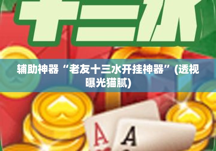 辅助神器“老友十三水开挂神器	”(透视曝光猫腻)