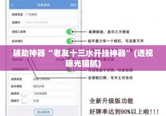辅助神器“老友十三水开挂神器”(透视曝光猫腻)