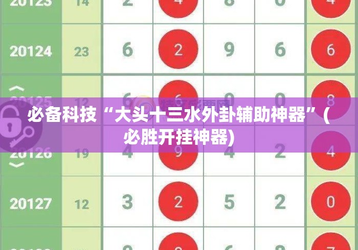 必备科技“大头十三水外卦辅助神器”(必胜开挂神器)