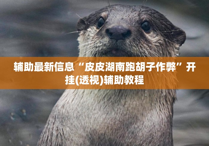 辅助最新信息“皮皮湖南跑胡子作弊”开挂(透视)辅助教程