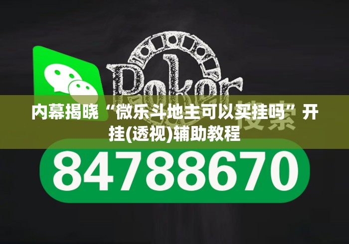 内幕揭晓“微乐斗地主可以买挂吗”开挂(透视)辅助教程