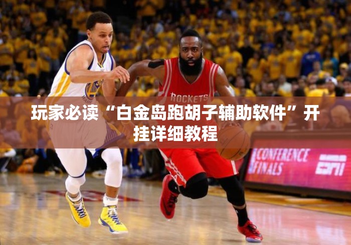玩家必读“白金岛跑胡子辅助软件”开挂详细教程