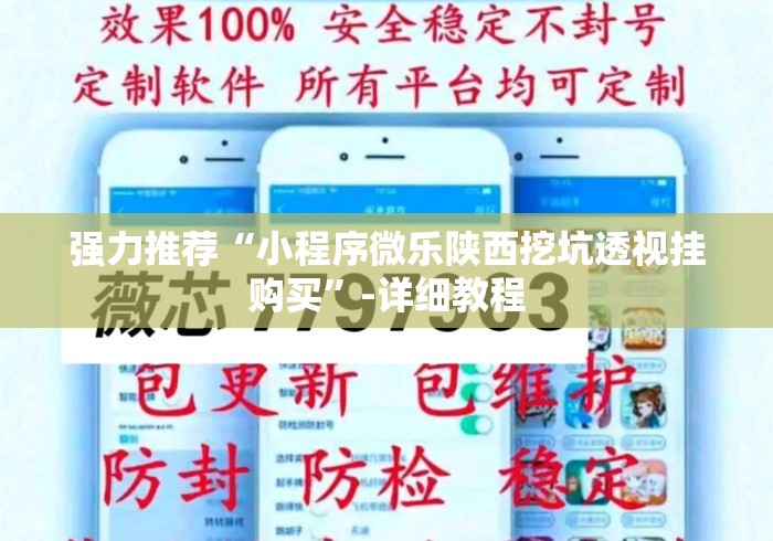 强力推荐“小程序微乐陕西挖坑透视挂购买”-详细教程
