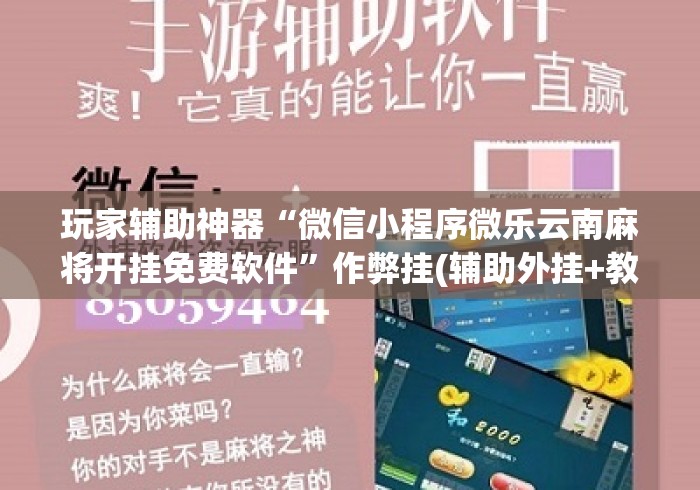 玩家辅助神器“微信小程序微乐云南麻将开挂免费软件	”作弊挂(辅助外挂+教程)