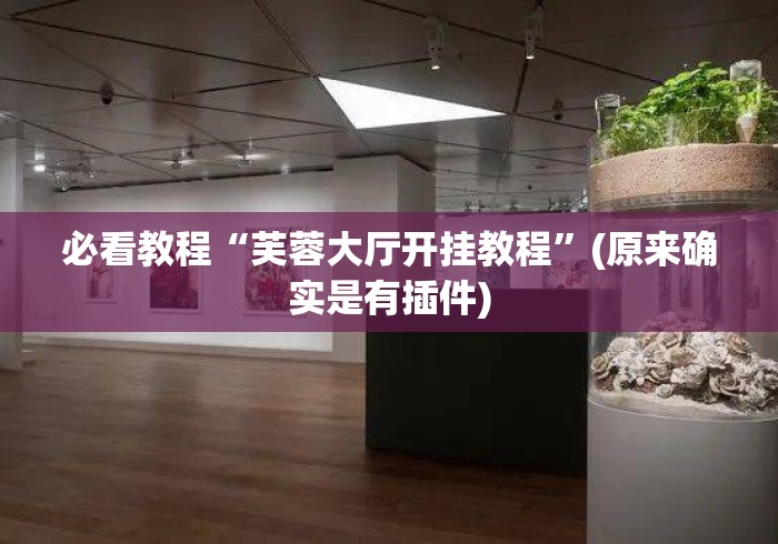 必看教程“芙蓉大厅开挂教程”(原来确实是有插件)